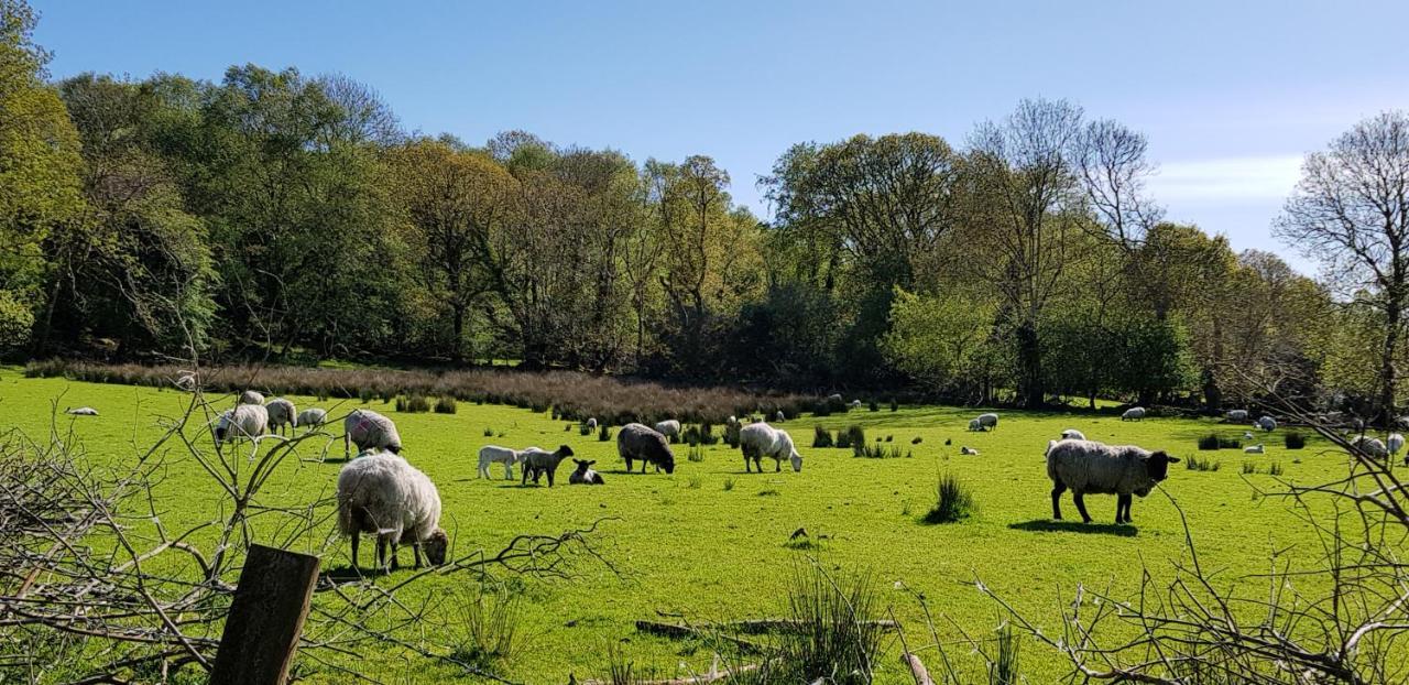 Mountain View Bed & Breakfast, Kenmare, Co. Kerry, Ireland 외부 사진