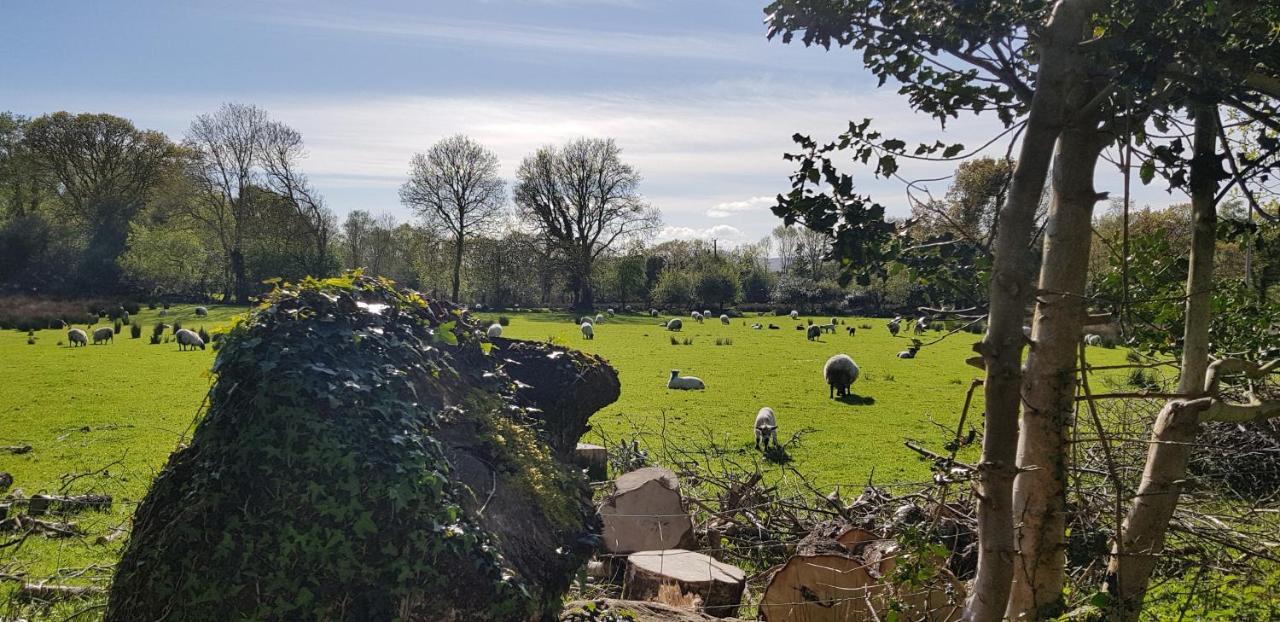 Mountain View Bed & Breakfast, Kenmare, Co. Kerry, Ireland 외부 사진