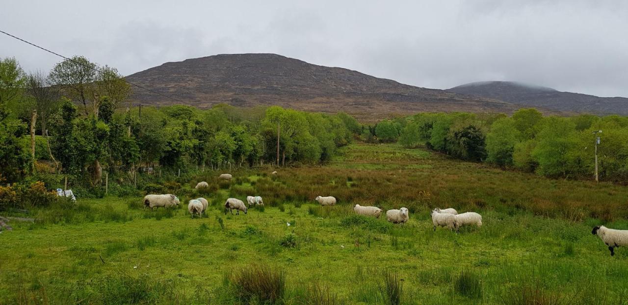 Mountain View Bed & Breakfast, Kenmare, Co. Kerry, Ireland 외부 사진